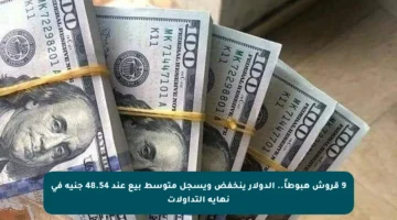 9 قروش هبوطاً.. الدولار ينخفض ويسجل متوسط بيع عند 48.54 جنيه في نهاية التداولات